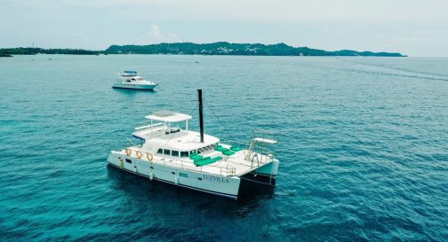 Luxury Private Yacht Cruise (Big) - Image 2