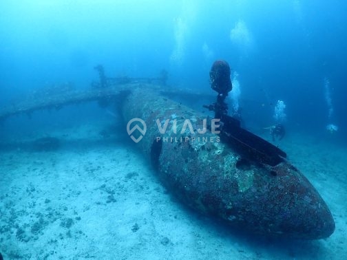Discover Scuba Diving in Boracay - Image 4