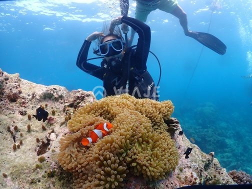 Discover Scuba Diving in Boracay - Image 9