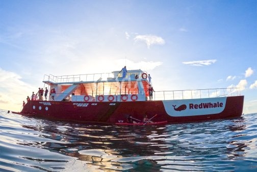 Boracay Red Whale Party Cruise - Image 3