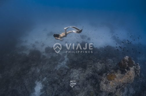 Discover Freediving in Boracay - Image 2